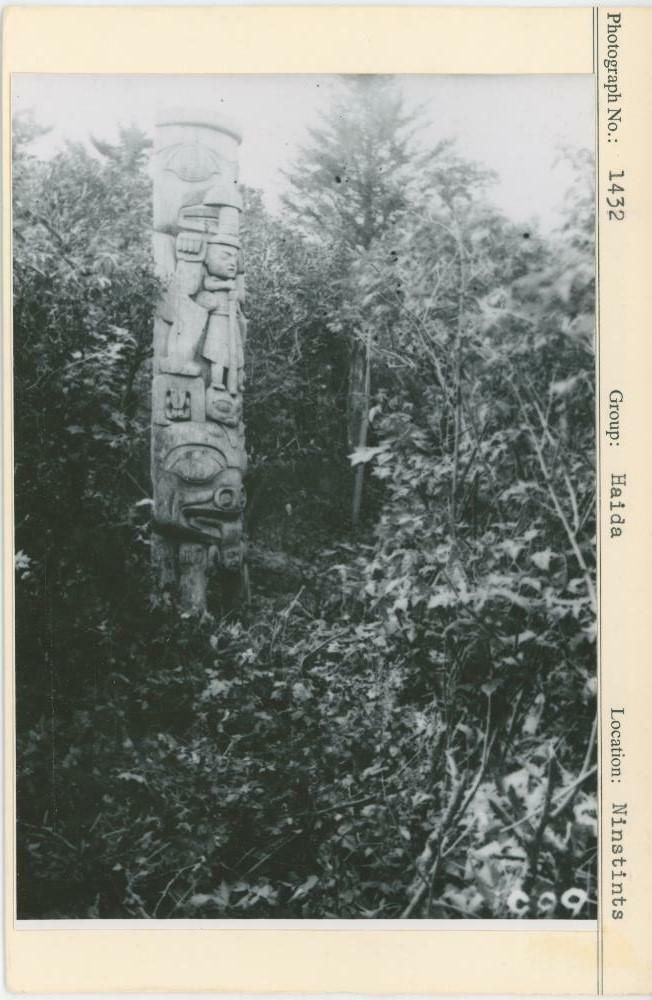 Image representing photograph.