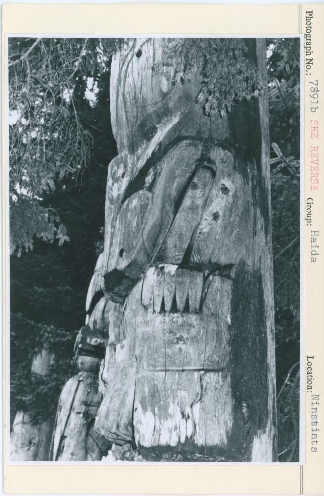 Image representing photograph.