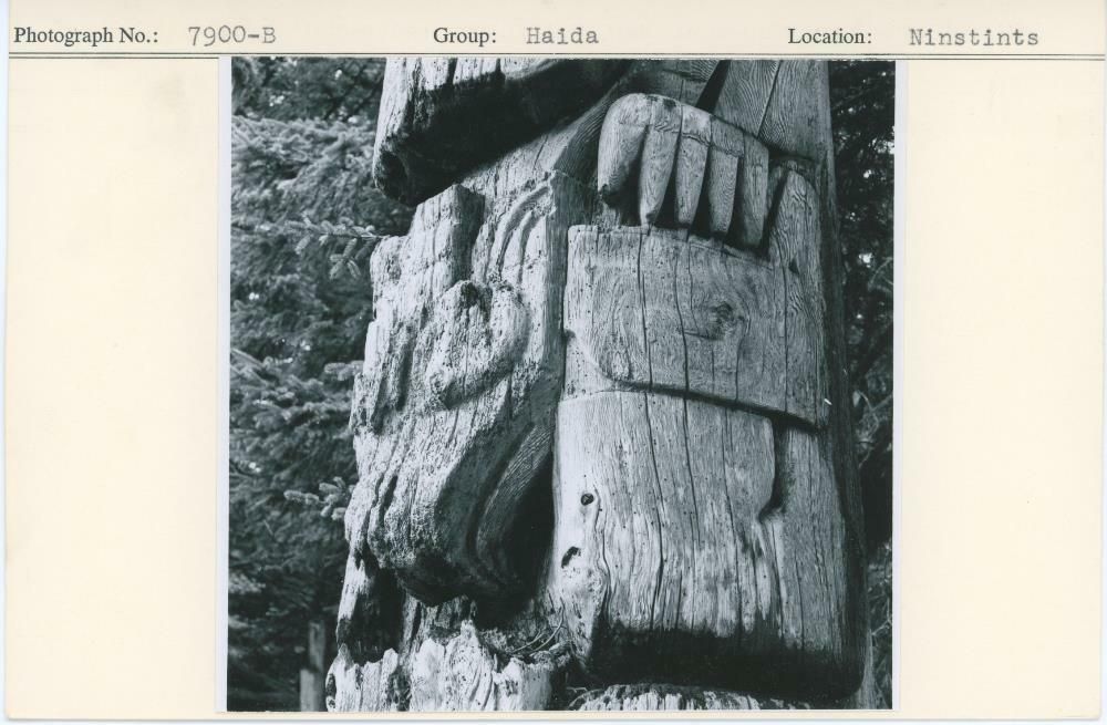 Image representing photograph.