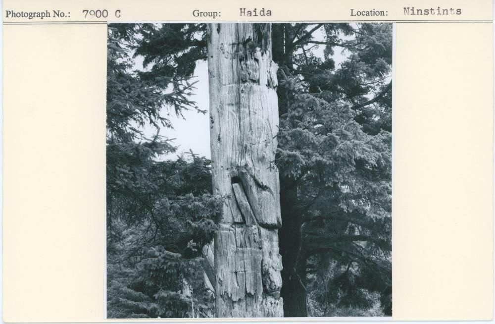 Image representing photograph.