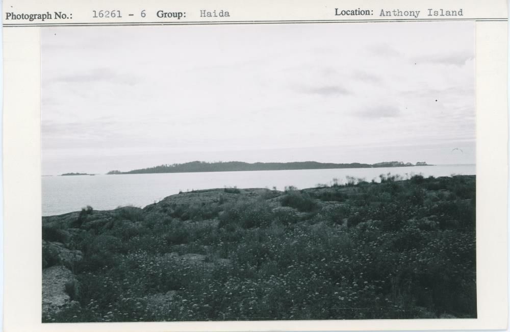 Image representing photograph.