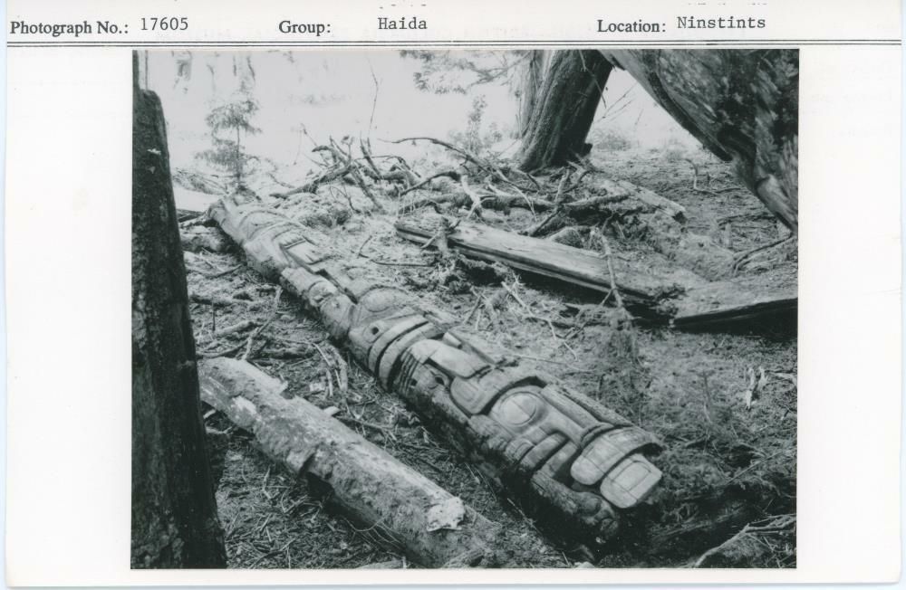 Image representing photograph.