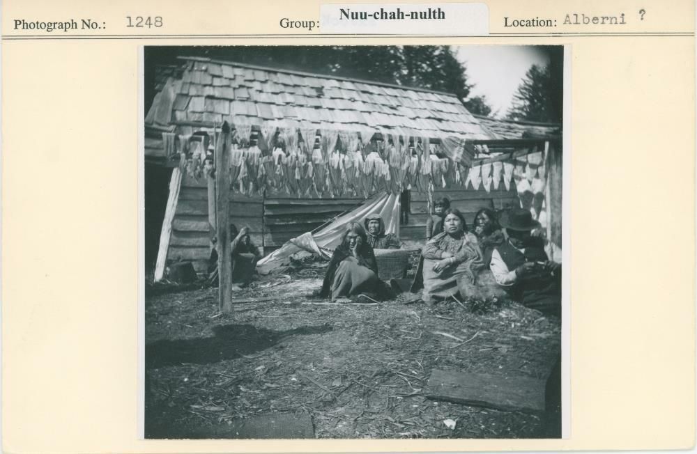 Image representing photograph.