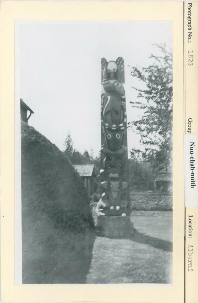 Image representing photograph.