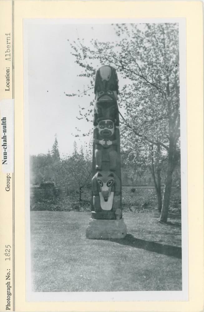 Image representing photograph.