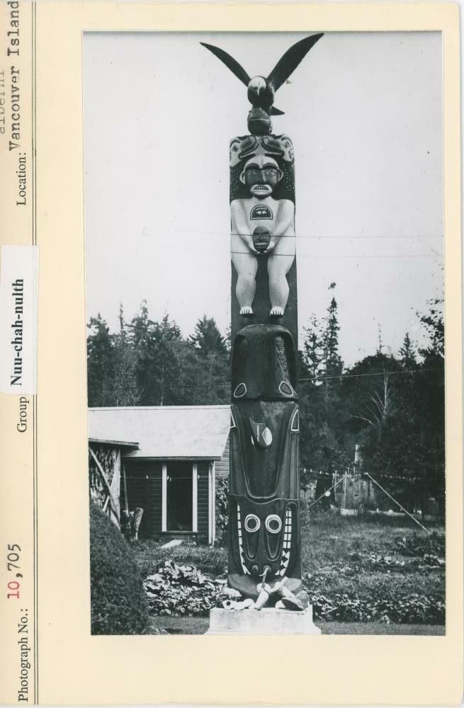 Image representing photograph.