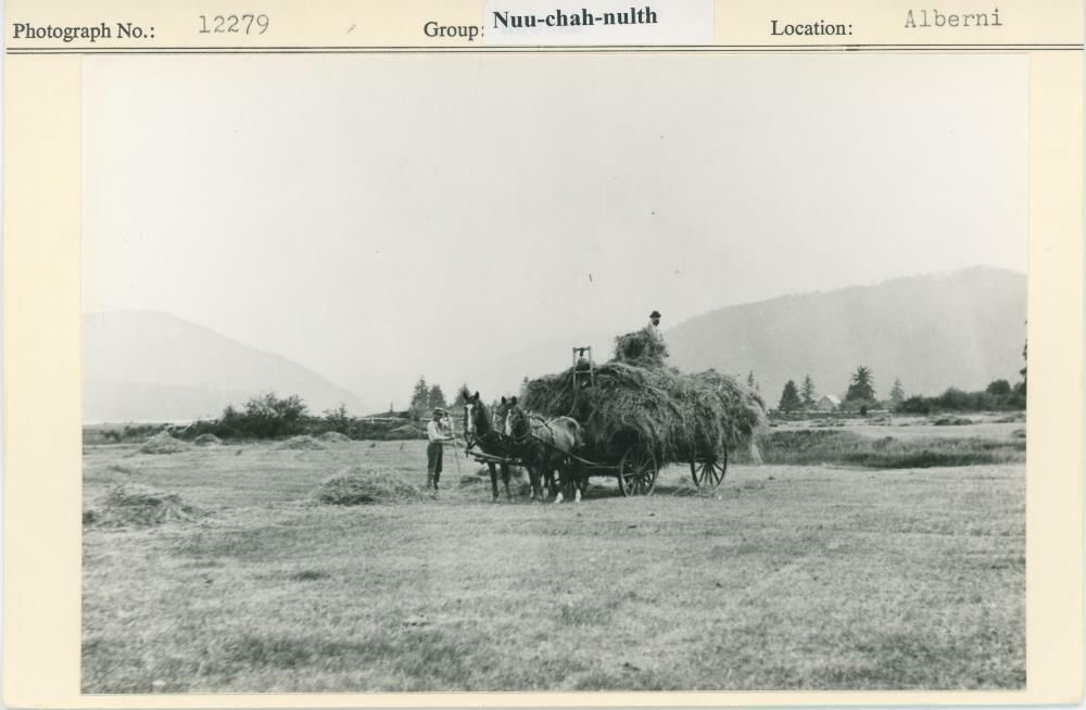 Image representing photograph.