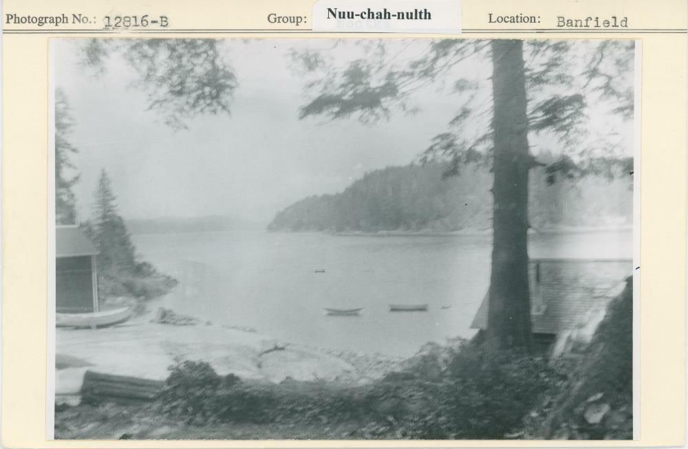 Image representing photograph.