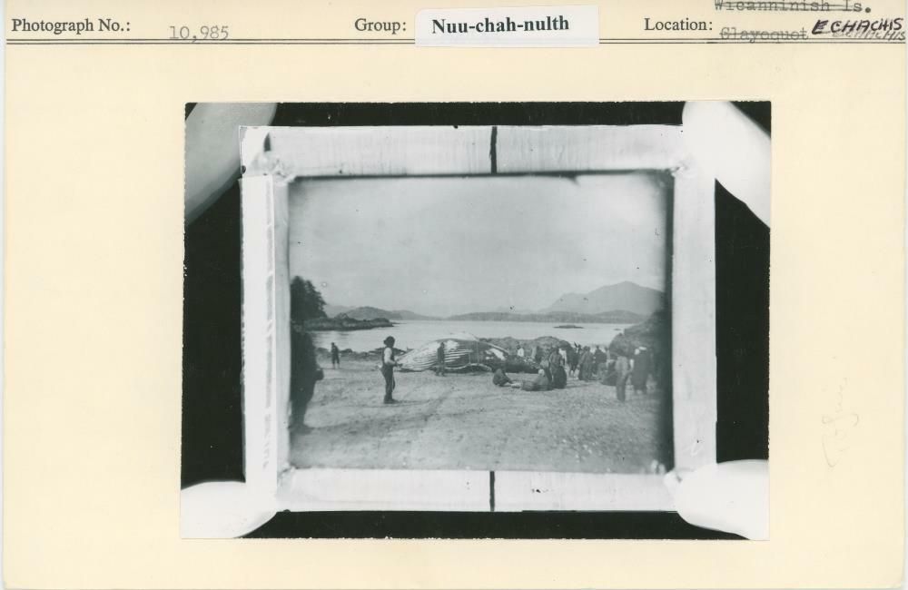 Image representing photograph.