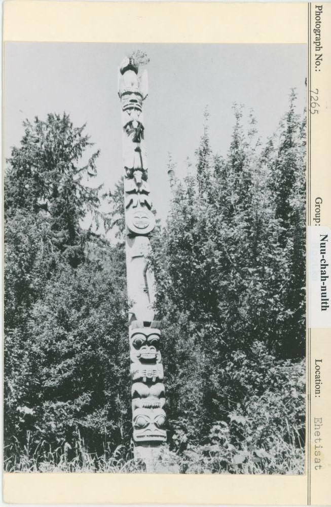 Image representing photograph.