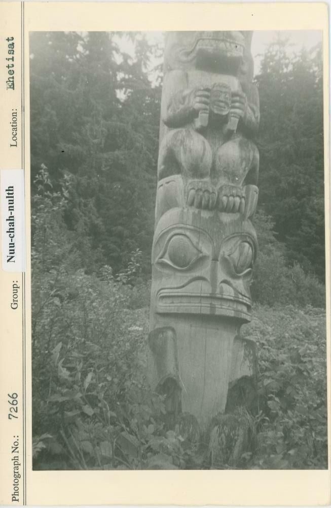 Image representing photograph.