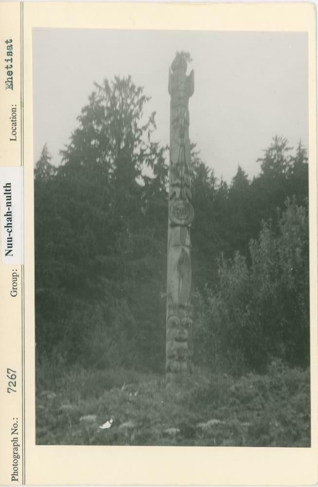 Image representing photograph.