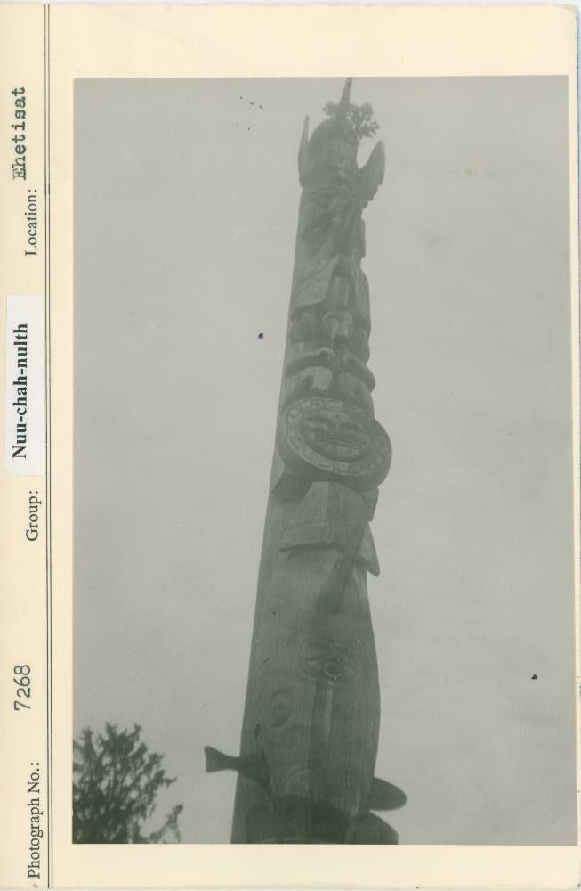 Image representing photograph.