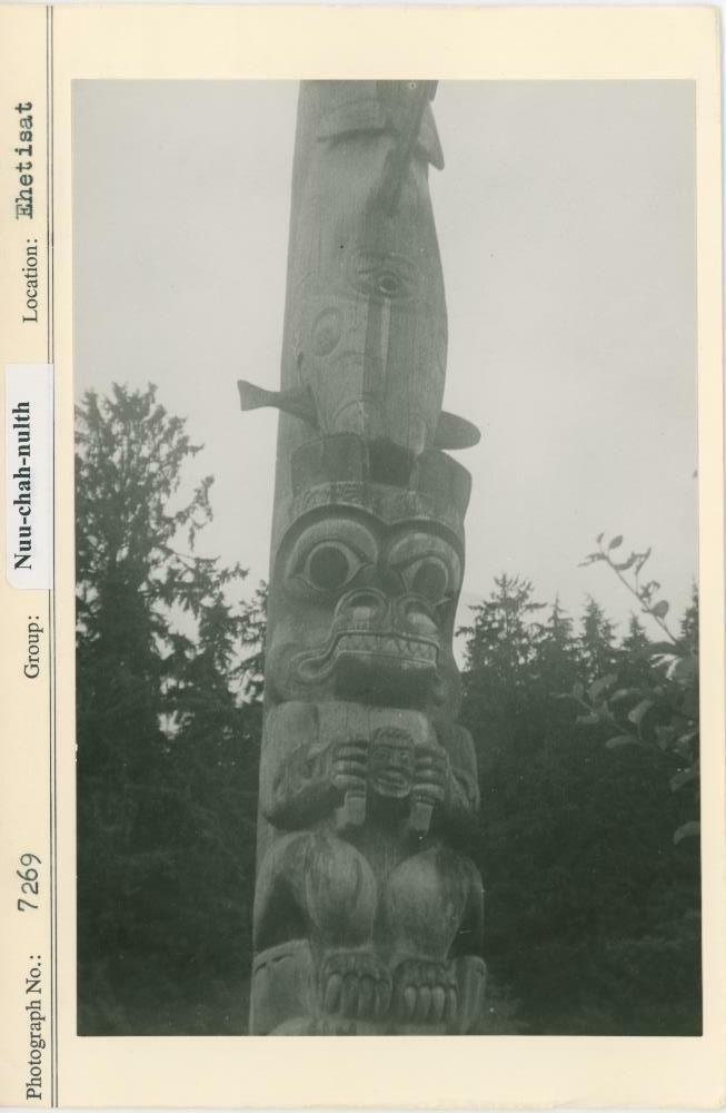 Image representing photograph.