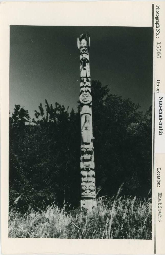 Image representing photograph.