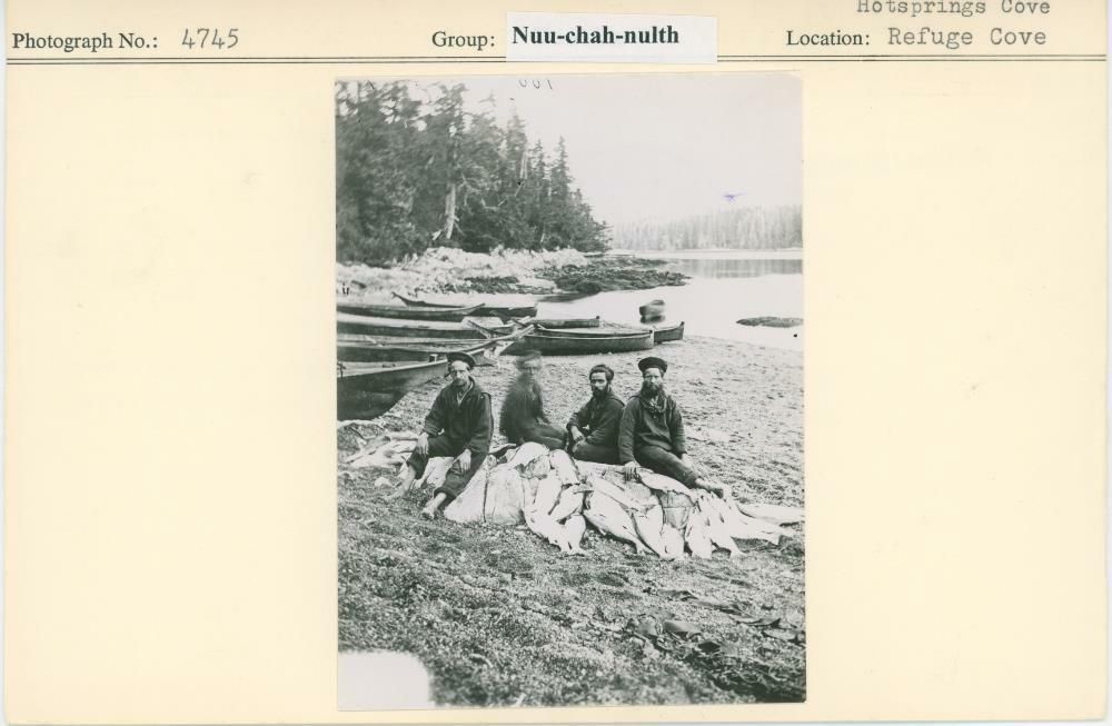 Image representing photograph.