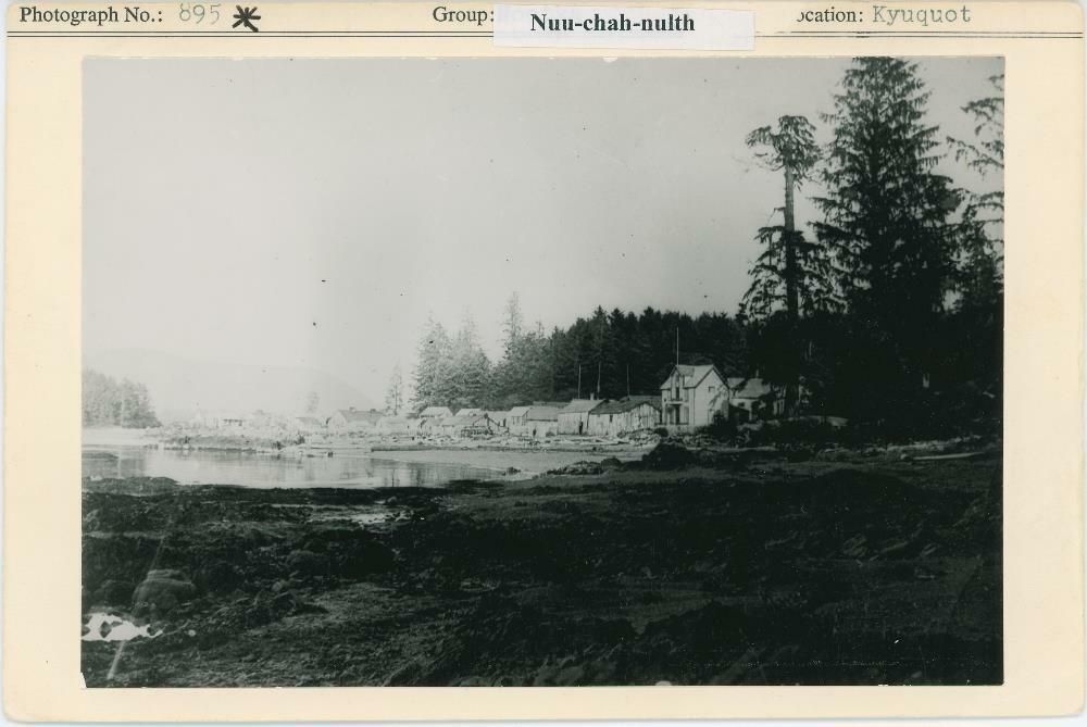 Image representing photograph.