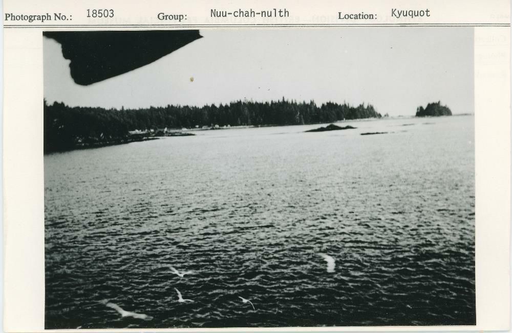 Image representing photograph.