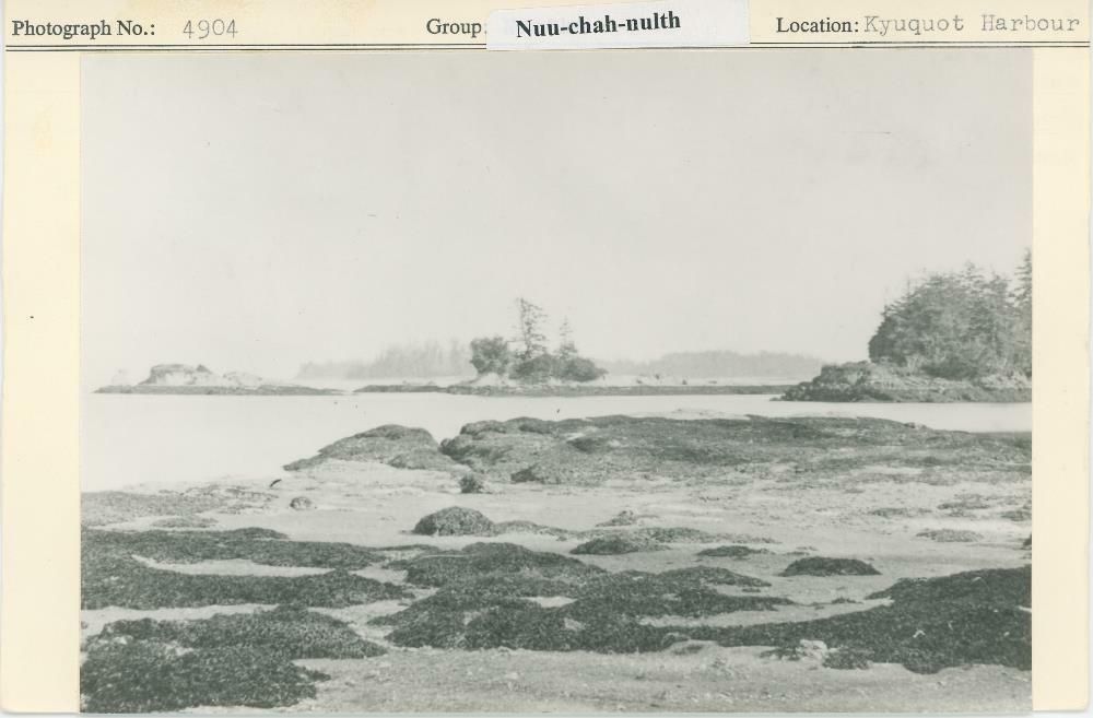 Image representing photograph.