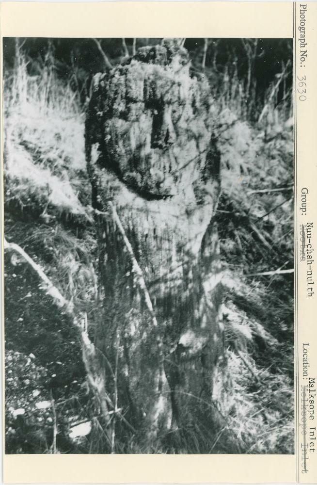 Image representing photograph.