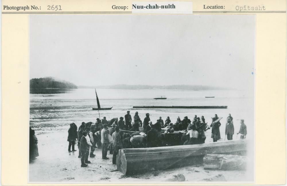 Image representing photograph.