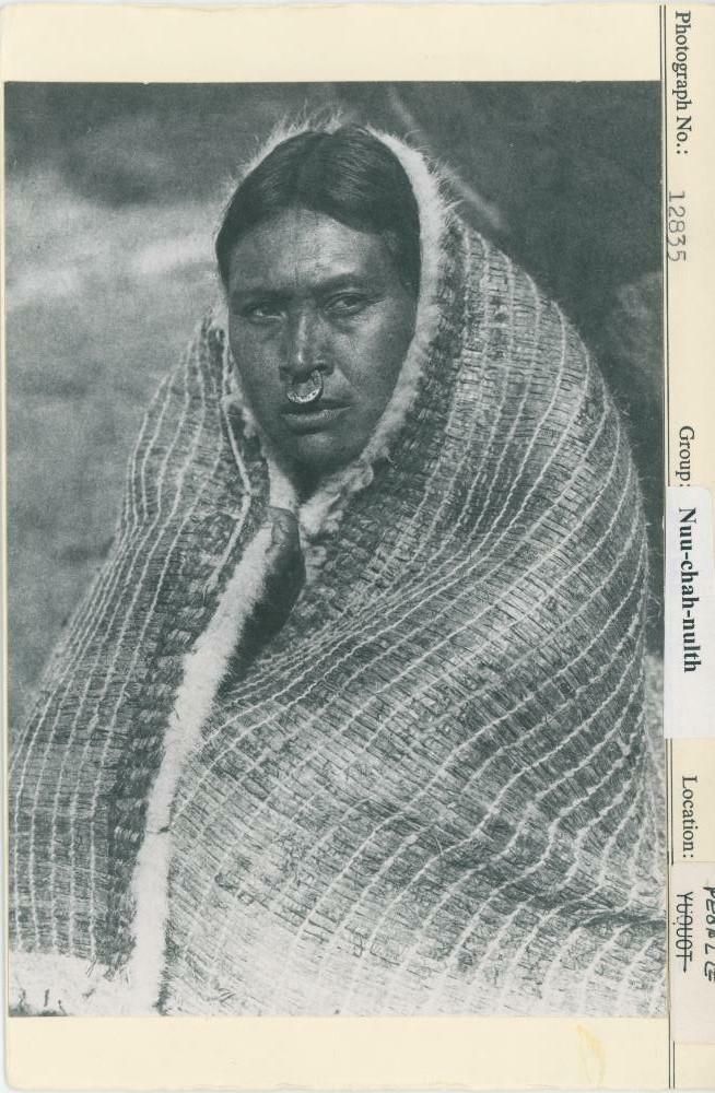 Image representing photograph.