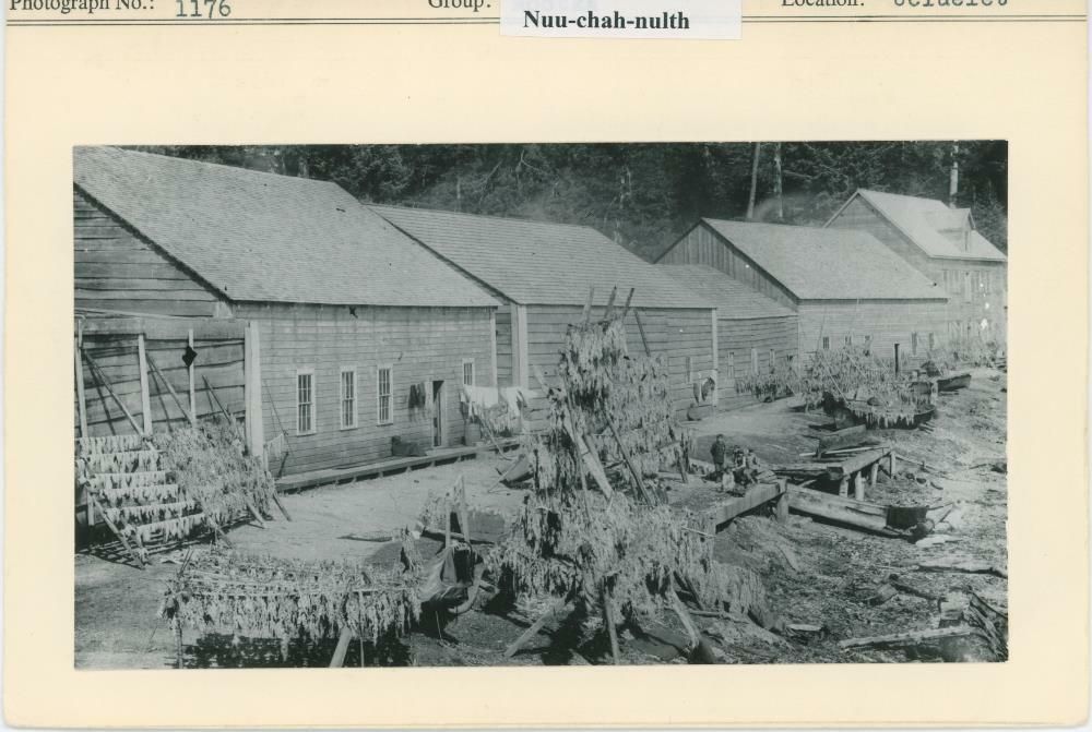 Image representing photograph.