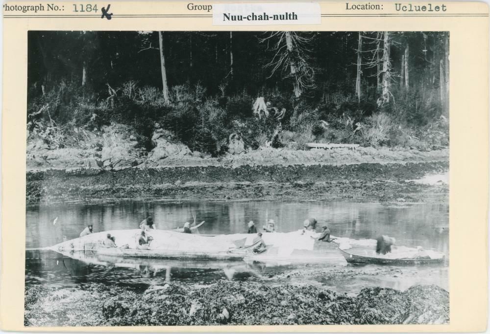 Image representing photograph.