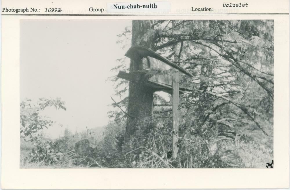 Image representing photograph.