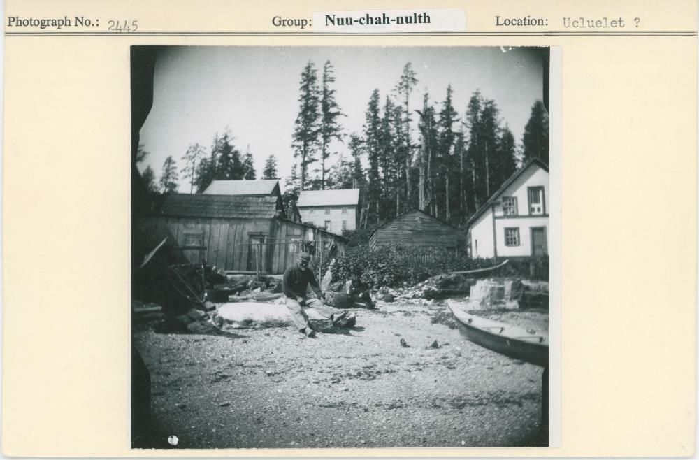 Image representing photograph.