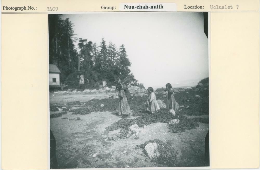 Image representing photograph.