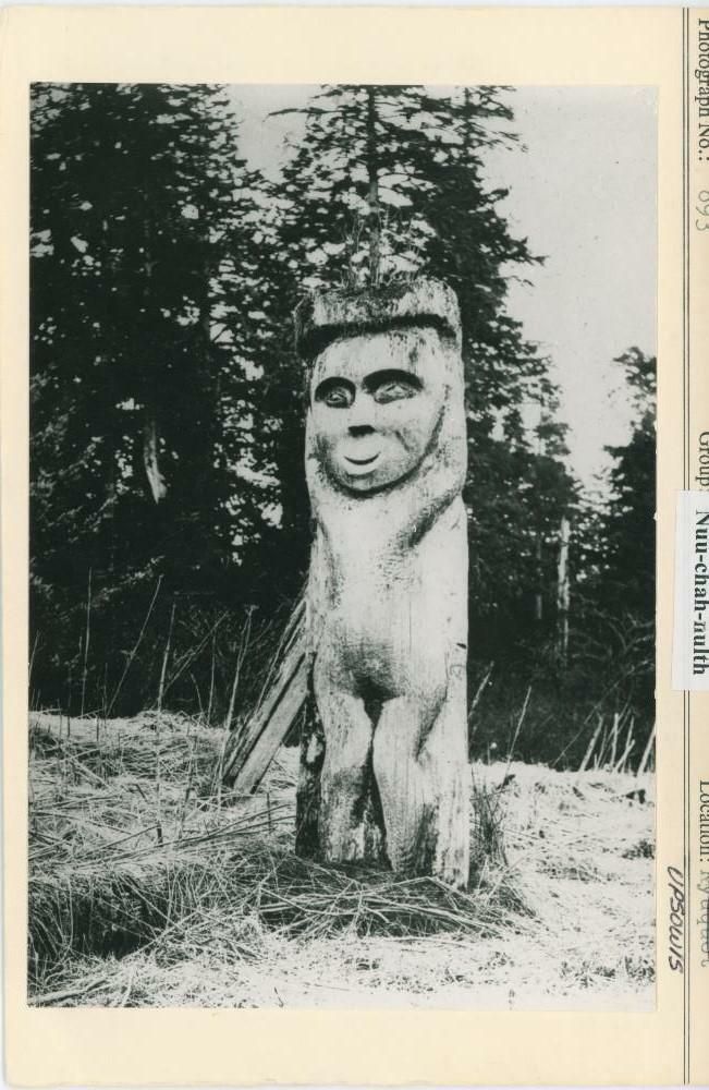 Image representing photograph.