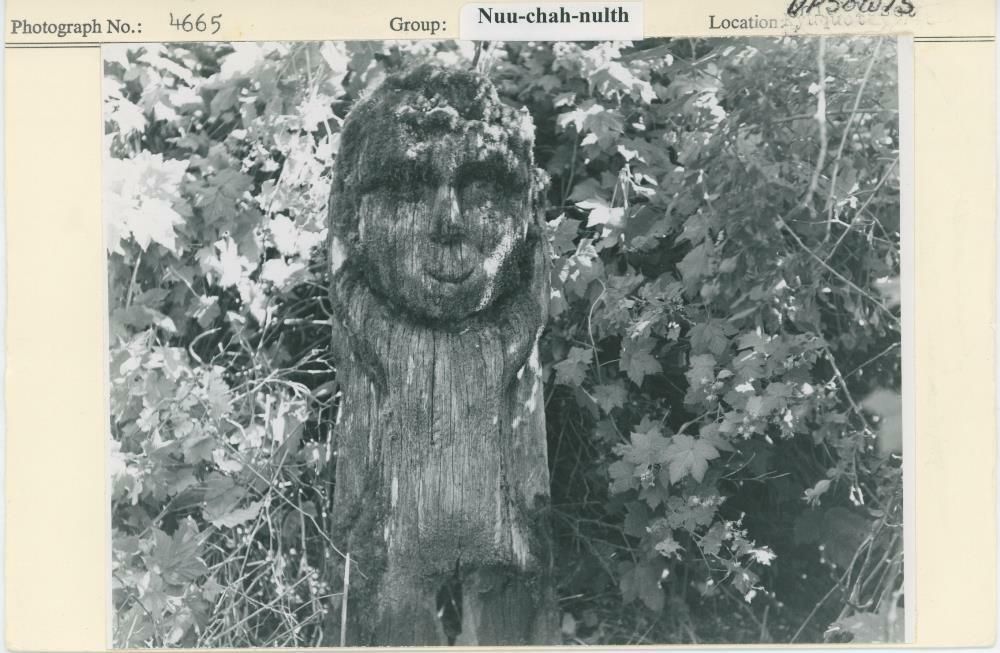 Image representing photograph.