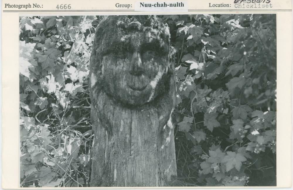 Image representing photograph.