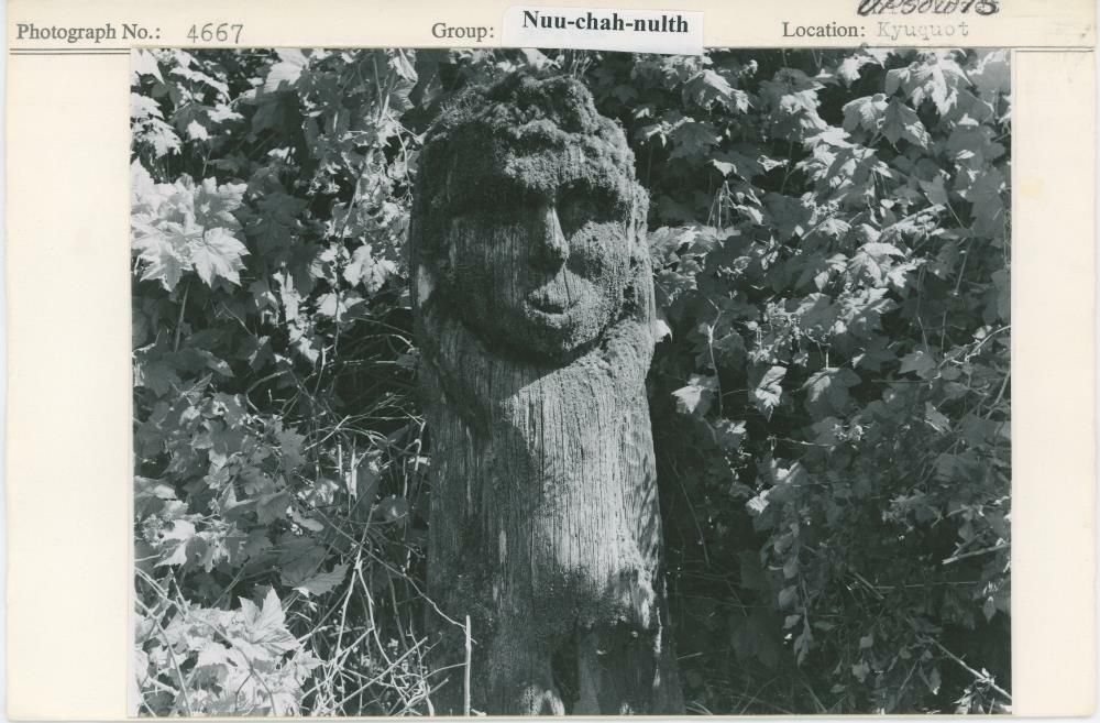 Image representing photograph.