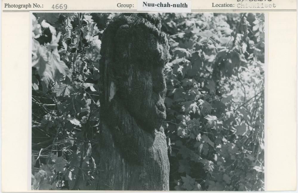 Image representing photograph.