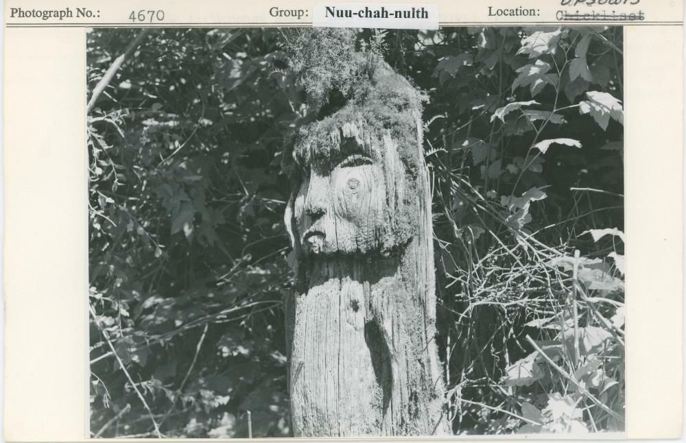 Image representing photograph.