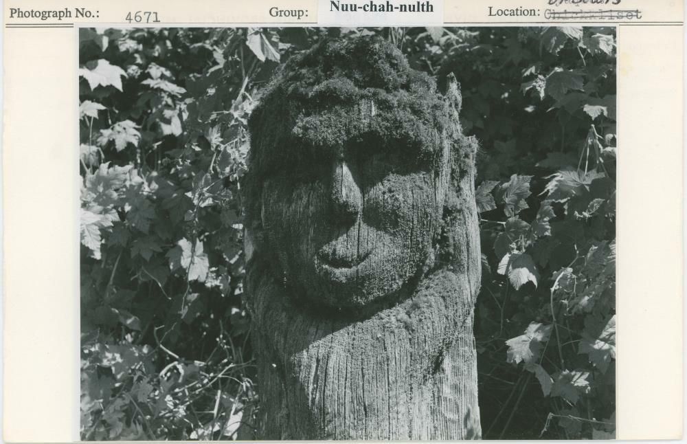 Image representing photograph.