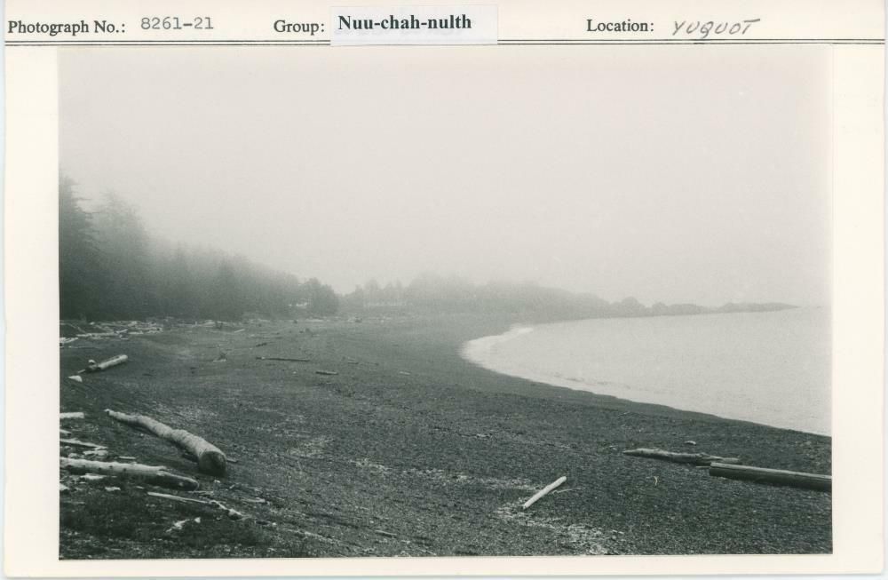 Image representing photograph.