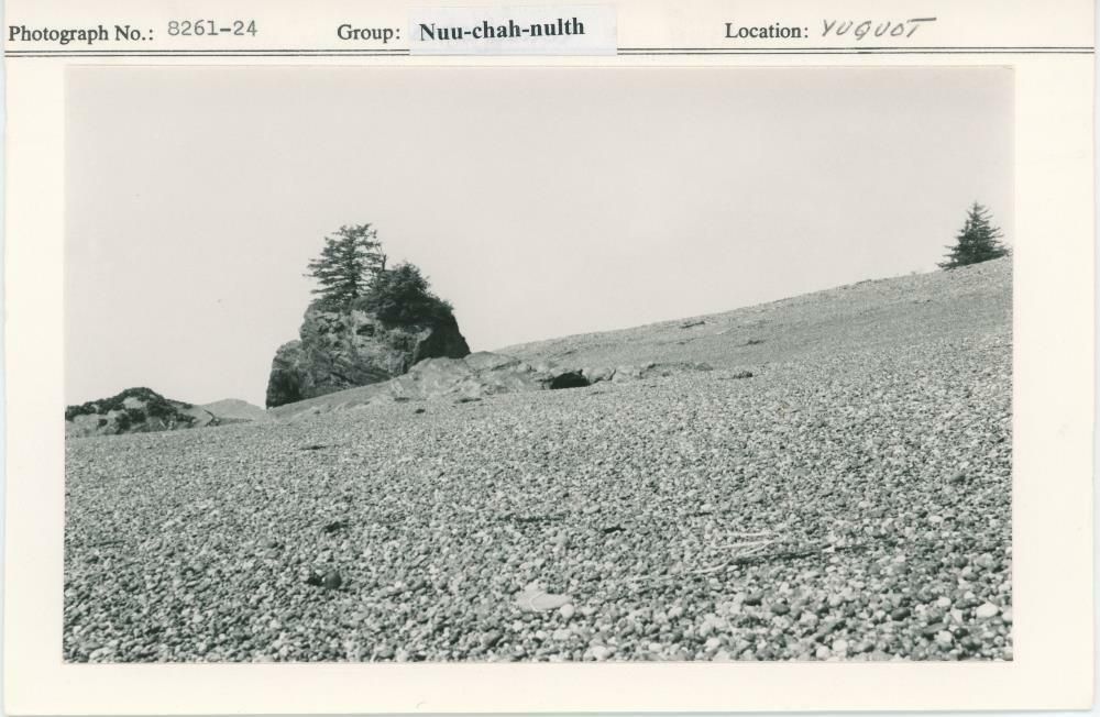 Image representing photograph.