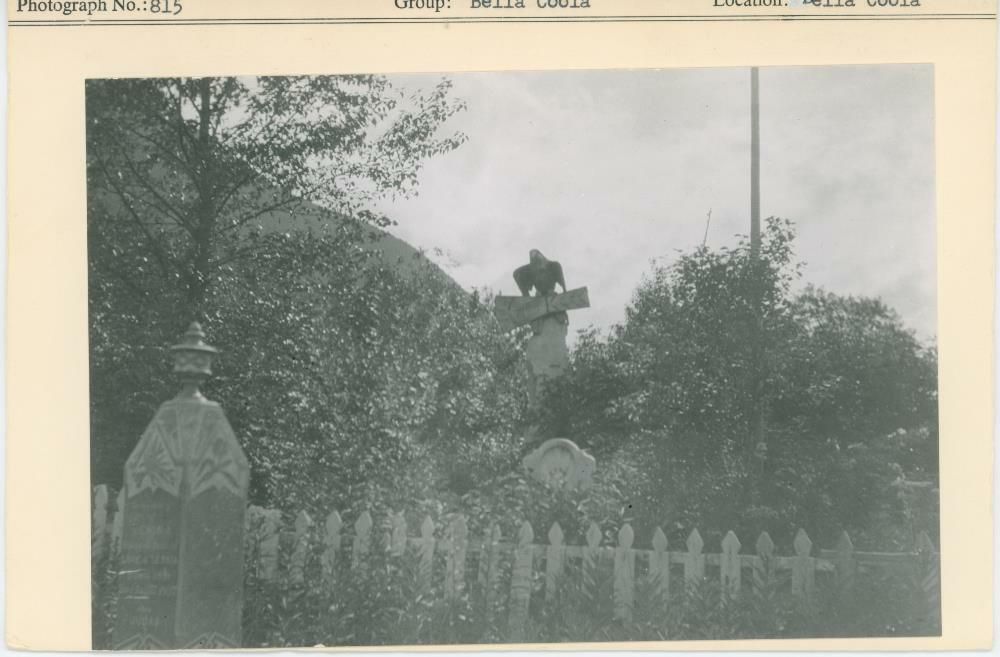 Image representing photograph.