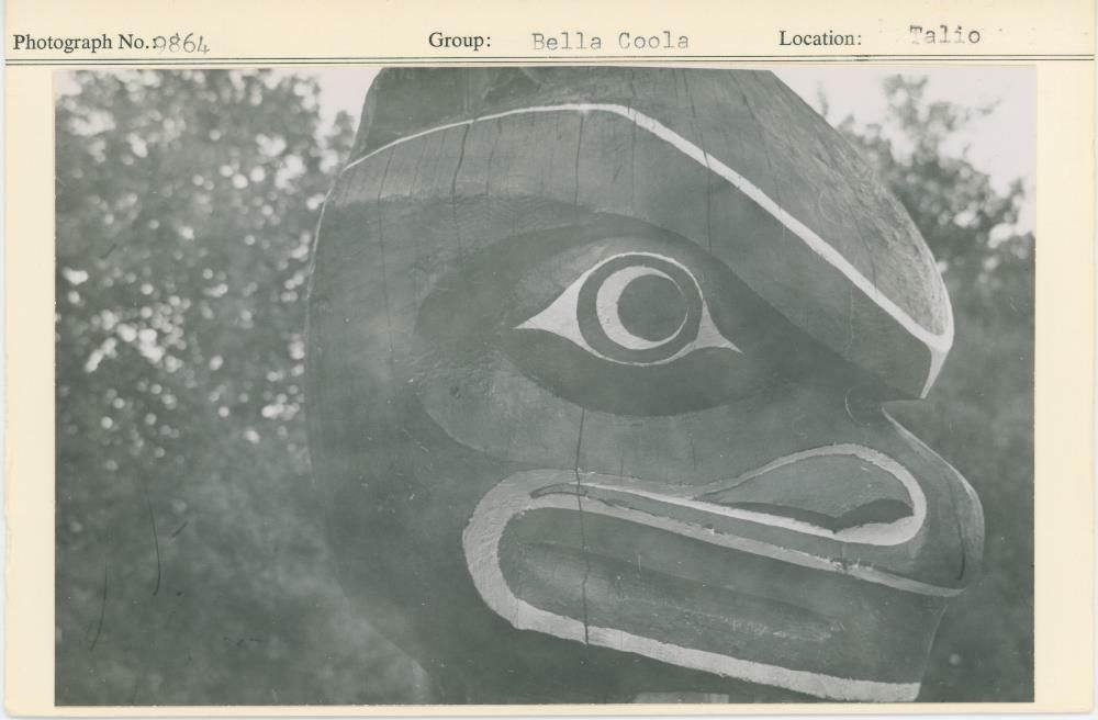 Image representing photograph.