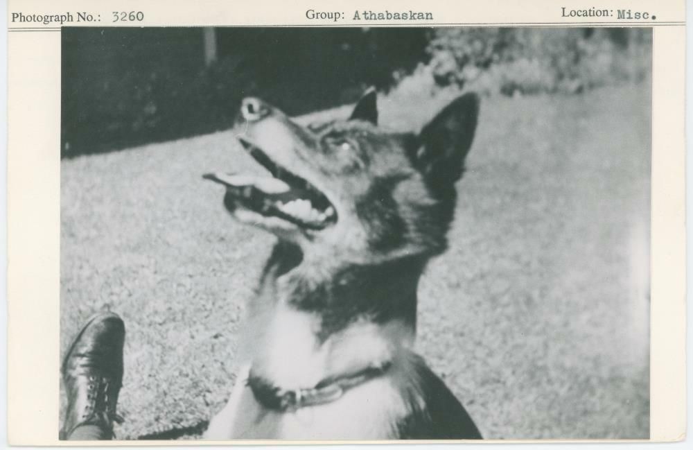 Image representing photograph.