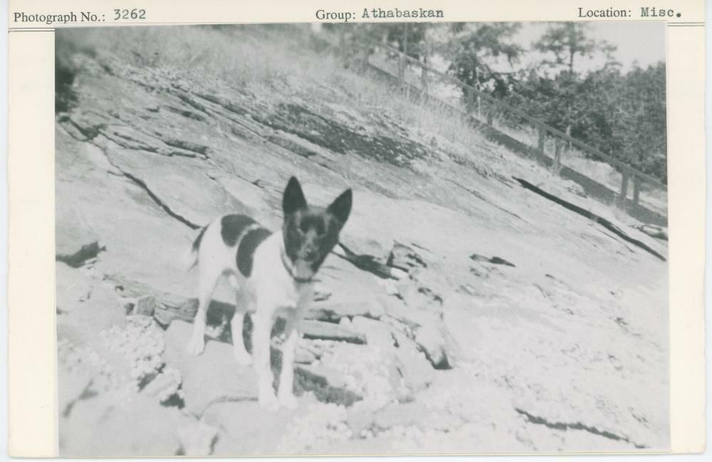 Image representing photograph.