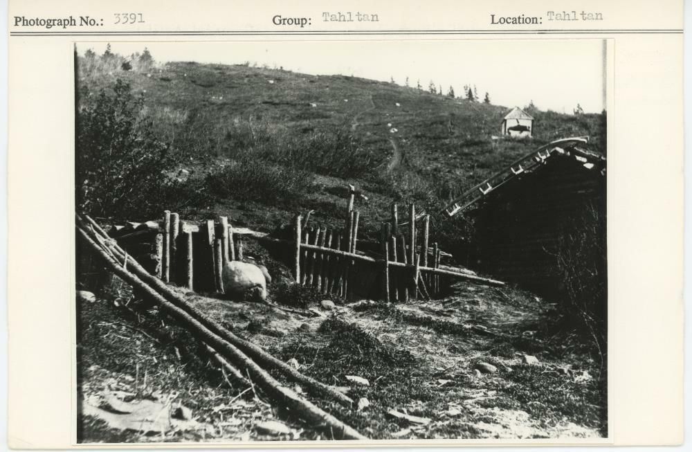 Image representing photograph.