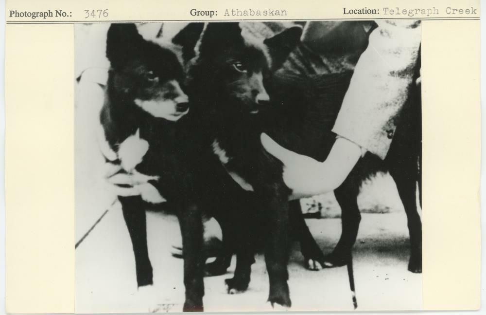 Image representing photograph.