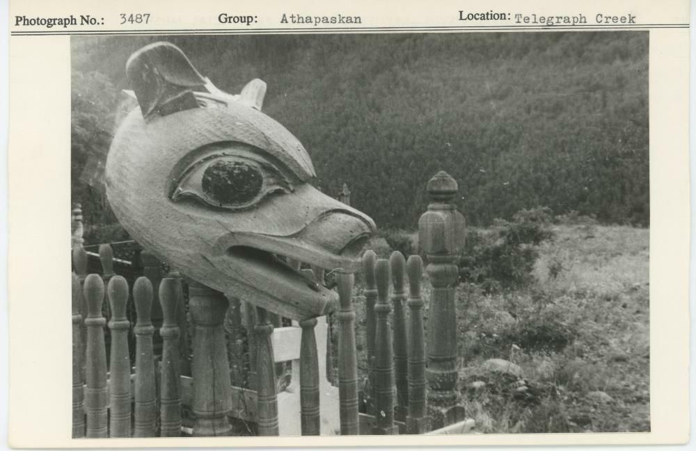 Image representing photograph.