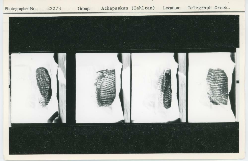 Image representing photograph.