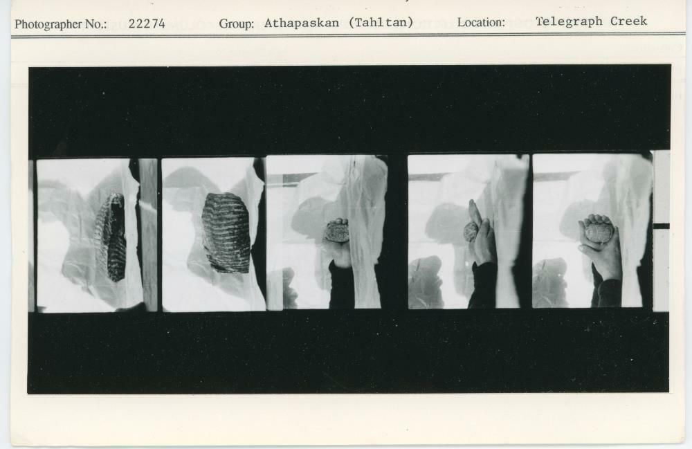Image representing photograph.