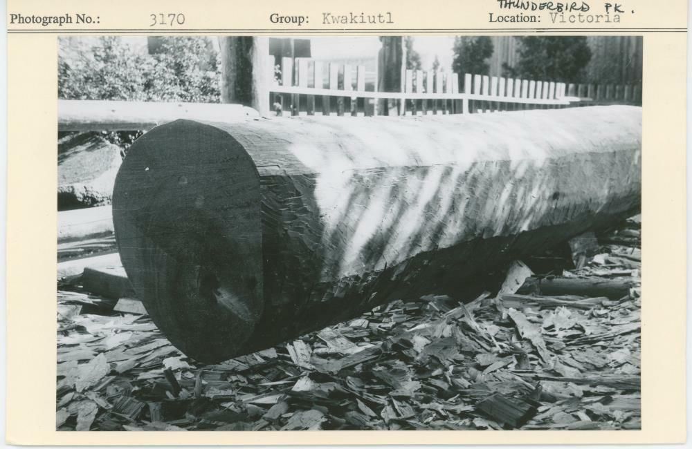 Image representing photograph.